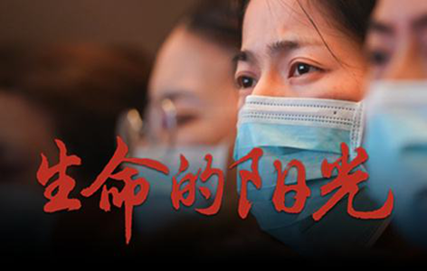 保障圣能科技有序工作，踐行初心使命“主戰(zhàn)場”